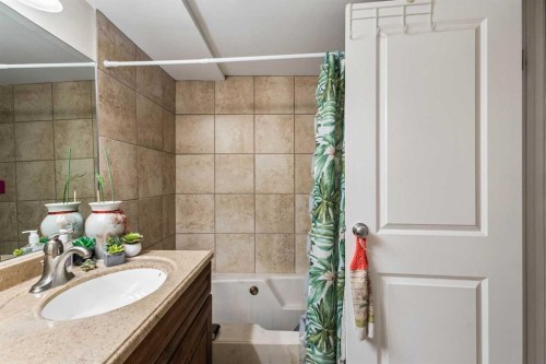 84 Fallswater Road Ne, Calgary, AB - Indoor Photo Showing Bathroom