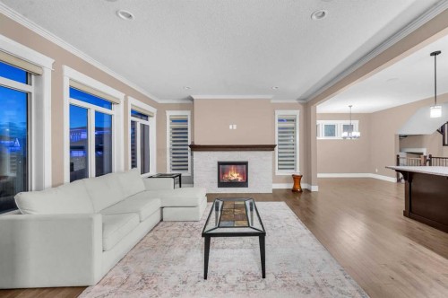 248 Marquis Landing Se, Calgary, AB - Indoor Photo Showing Living Room With Fireplace