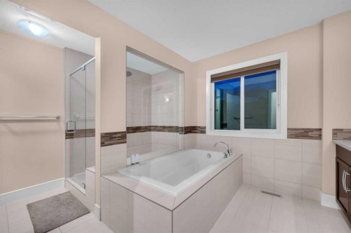 248 Marquis Landing Se, Calgary, AB - Indoor Photo Showing Bathroom