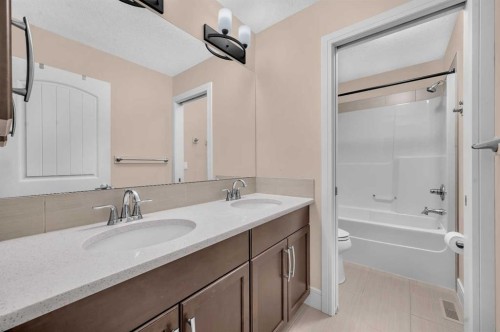 248 Marquis Landing Se, Calgary, AB - Indoor Photo Showing Bathroom