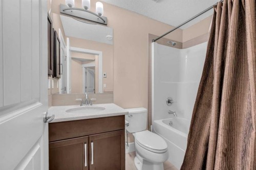 248 Marquis Landing Se, Calgary, AB - Indoor Photo Showing Bathroom