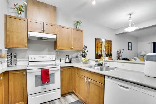 1004-720 Willowbrook Road Nw, Airdrie, AB - Indoor Photo Showing Kitchen With Double Sink