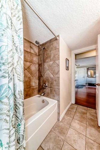 301-343 4 Avenue Ne, Calgary, AB - Indoor Photo Showing Bathroom