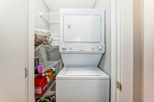 301-343 4 Avenue Ne, Calgary, AB - Indoor Photo Showing Laundry Room