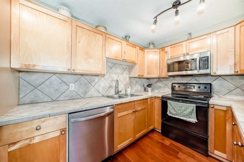 301-343 4 Avenue Ne, Calgary, AB - Indoor Photo Showing Kitchen With Double Sink