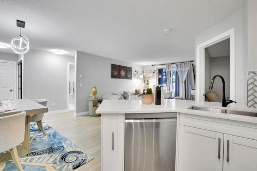 1111-2280 68 Street Ne, Calgary, AB - Indoor Photo Showing Kitchen With Double Sink