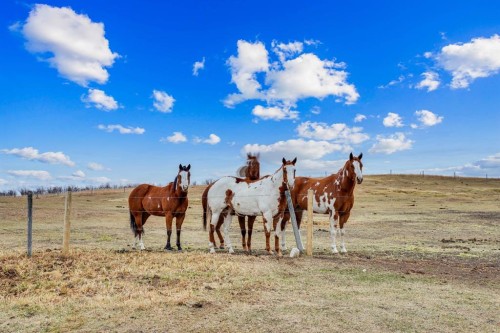 153009 Rr 274, Rural Willow Creek No. 26, M.D. Of, AB - Outdoor With View