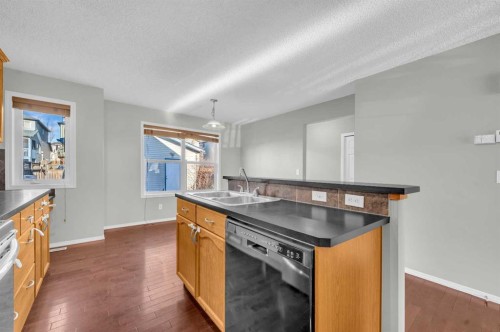 249 Covemeadow Road Ne, Calgary, AB - Indoor Photo Showing Kitchen With Double Sink
