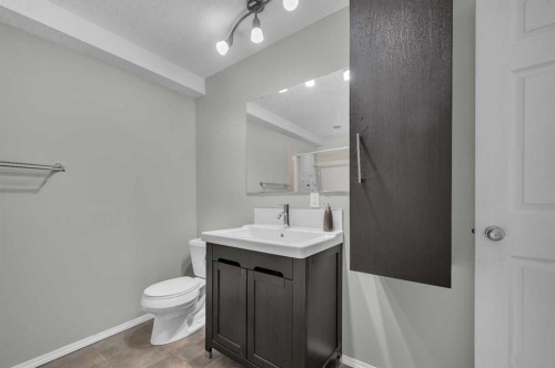 249 Covemeadow Road Ne, Calgary, AB - Indoor Photo Showing Bathroom