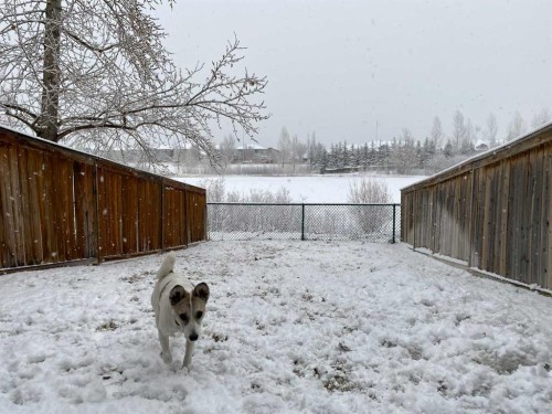 44 Everridge Common Sw, Calgary, AB - Outdoor