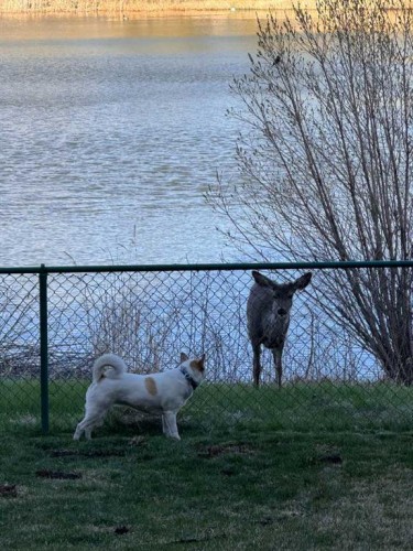 44 Everridge Common Sw, Calgary, AB - Outdoor With Body Of Water With View
