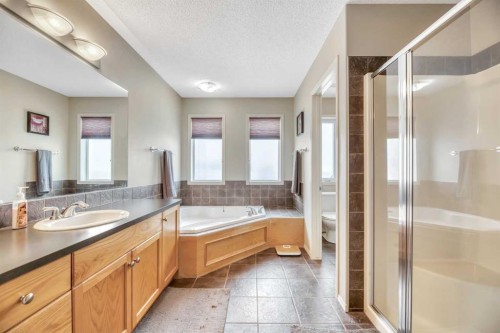 408 Rainbow Falls Way, Chestermere, AB - Indoor Photo Showing Bathroom