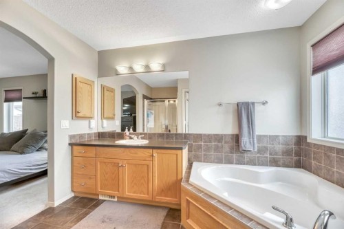 408 Rainbow Falls Way, Chestermere, AB - Indoor Photo Showing Bathroom