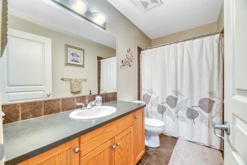408 Rainbow Falls Way, Chestermere, AB - Indoor Photo Showing Bathroom