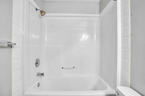 171 Saddlemead Green Ne, Calgary, AB - Indoor Photo Showing Bathroom