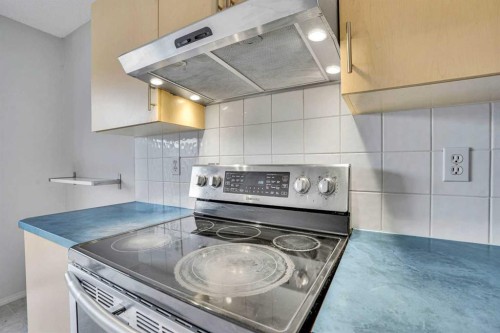 171 Saddlemead Green Ne, Calgary, AB - Indoor Photo Showing Kitchen