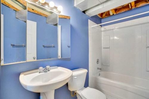 171 Saddlemead Green Ne, Calgary, AB - Indoor Photo Showing Bathroom