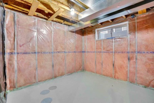 171 Saddlemead Green Ne, Calgary, AB - Indoor Photo Showing Basement