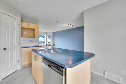 171 Saddlemead Green Ne, Calgary, AB - Indoor Photo Showing Kitchen With Double Sink
