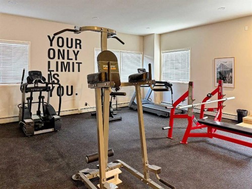 305-225 25 Avenue Sw, Calgary, AB - Indoor Photo Showing Gym Room