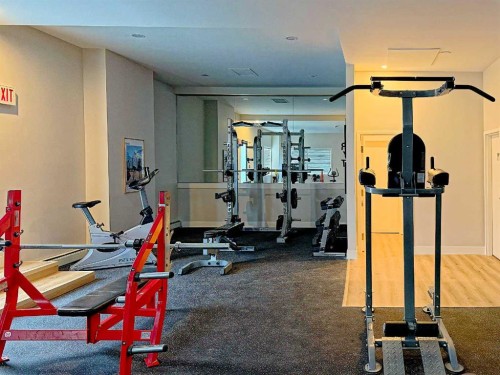 305-225 25 Avenue Sw, Calgary, AB - Indoor Photo Showing Gym Room