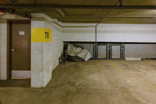 305-225 25 Avenue Sw, Calgary, AB - Indoor Photo Showing Garage