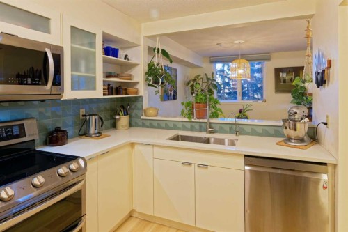 305-225 25 Avenue Sw, Calgary, AB - Indoor Photo Showing Kitchen