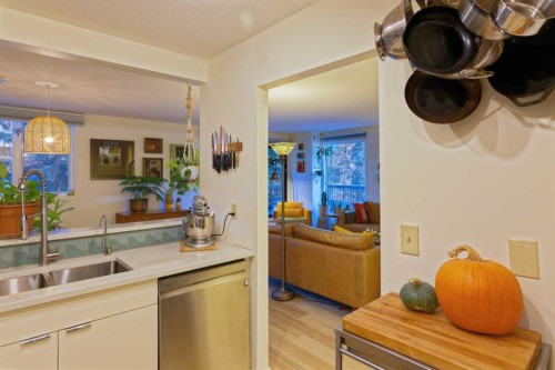 305-225 25 Avenue Sw, Calgary, AB - Indoor Photo Showing Kitchen With Double Sink