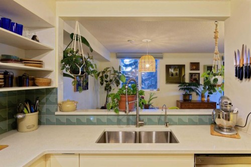 305-225 25 Avenue Sw, Calgary, AB - Indoor Photo Showing Kitchen