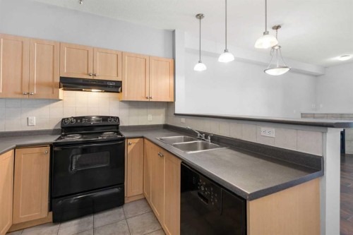 1203-333 Taravista Drive Ne, Calgary, AB - Indoor Photo Showing Kitchen With Double Sink