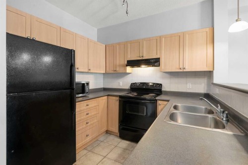 1203-333 Taravista Drive Ne, Calgary, AB - Indoor Photo Showing Kitchen With Double Sink