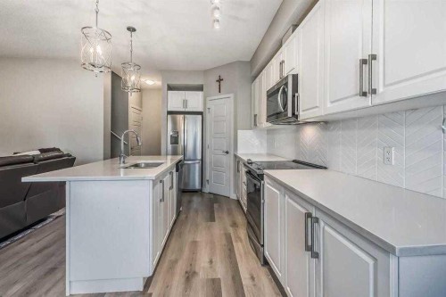 518-32 Red Embers Parade Ne, Calgary, AB - Indoor Photo Showing Kitchen With Stainless Steel Kitchen With Upgraded Kitchen