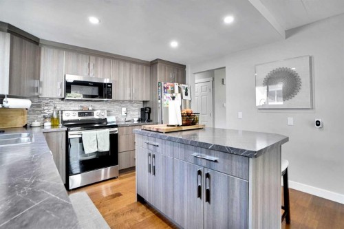 103 Castlebury Way Ne, Calgary, AB - Indoor Photo Showing Kitchen With Upgraded Kitchen