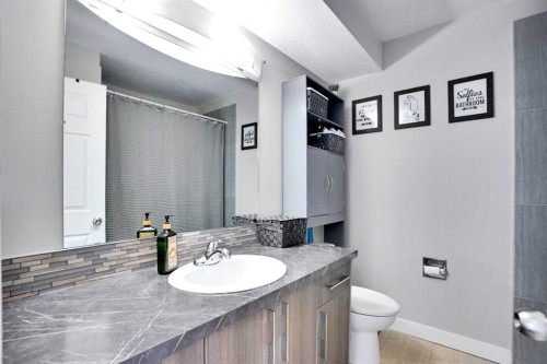 103 Castlebury Way Ne, Calgary, AB - Indoor Photo Showing Bathroom