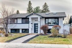 959 Lake Arrow Way SE Calgary, AB T2J 3C2
