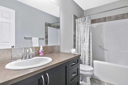 90 Brightoncrest Grove Se, Calgary, AB - Indoor Photo Showing Bathroom