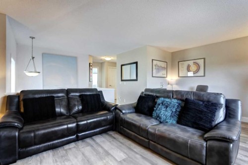 114 Chapalina Park Crescent Se, Calgary, AB - Indoor Photo Showing Living Room