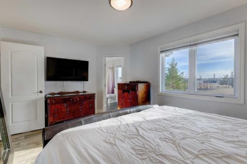 114 Chapalina Park Crescent Se, Calgary, AB - Indoor Photo Showing Bedroom