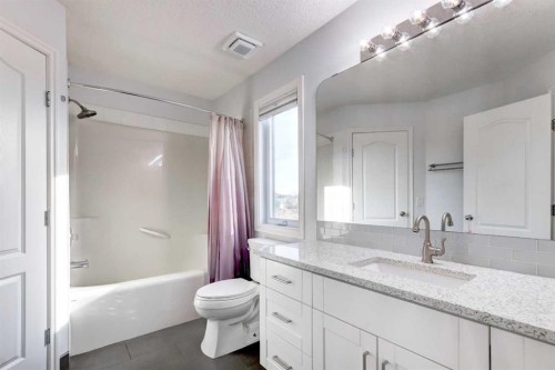 114 Chapalina Park Crescent Se, Calgary, AB - Indoor Photo Showing Bathroom