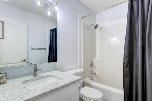 114 Chapalina Park Crescent Se, Calgary, AB - Indoor Photo Showing Bathroom