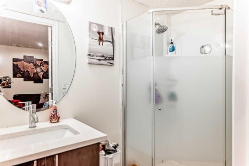 283 Macewan Drive Nw, Calgary, AB - Indoor Photo Showing Bathroom