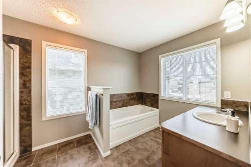 284 Sagewood Landing Sw, Airdrie, AB - Indoor Photo Showing Bathroom