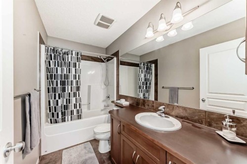 284 Sagewood Landing Sw, Airdrie, AB - Indoor Photo Showing Bathroom