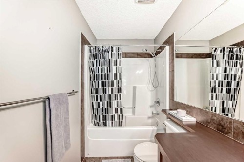 284 Sagewood Landing Sw, Airdrie, AB - Indoor Photo Showing Bathroom