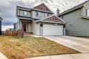 284 Sagewood Landing Sw, Airdrie, AB  - Outdoor 