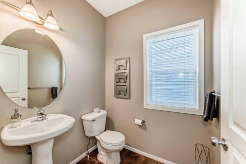 284 Sagewood Landing Sw, Airdrie, AB - Indoor Photo Showing Bathroom