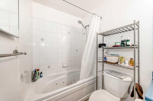 409-10 Dover Point Se, Calgary, AB - Indoor Photo Showing Bathroom