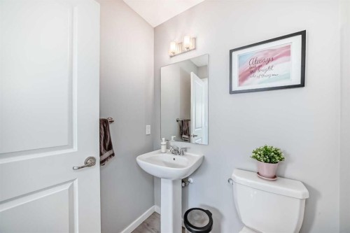 1349 Legacy Circle Se, Calgary, AB - Indoor Photo Showing Bathroom
