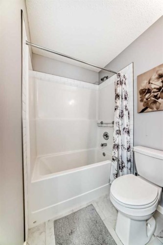 1349 Legacy Circle Se, Calgary, AB - Indoor Photo Showing Bathroom