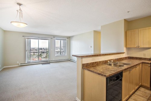 1308-333 Taravista Drive Ne, Calgary, AB - Indoor Photo Showing Kitchen With Double Sink